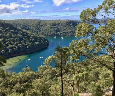 Towlers Bay